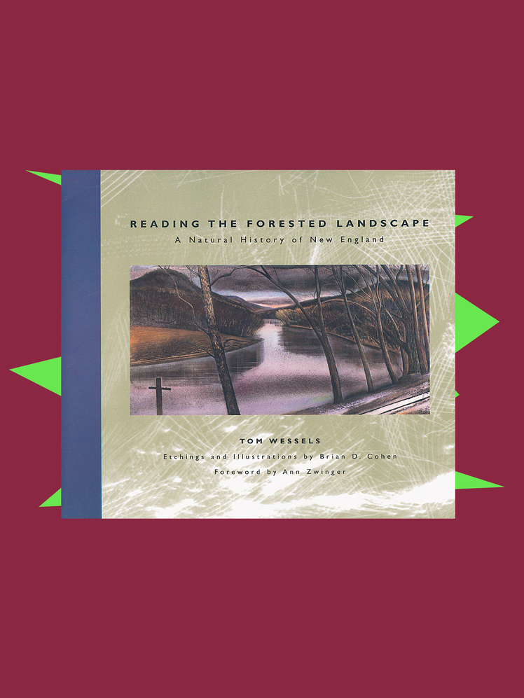 8 de nos auteurs préférés de 2023 recommandent des cadeaux aux lecteurs