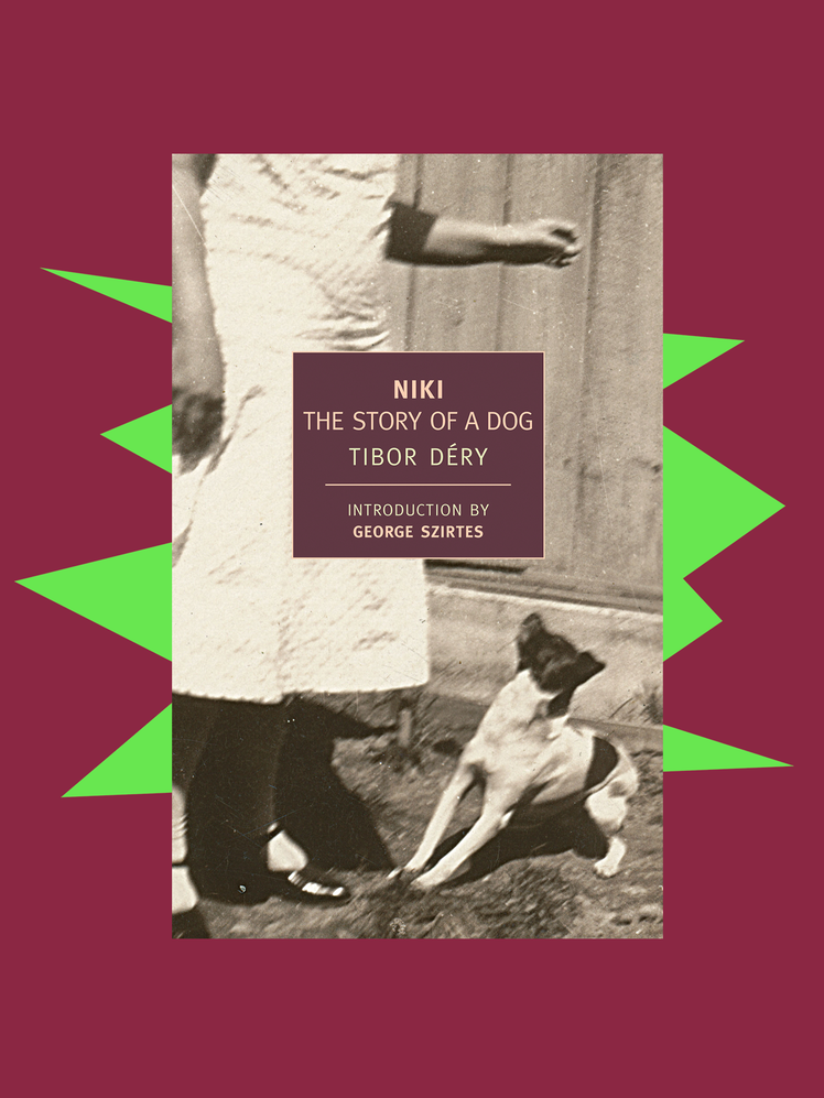 8 de nos auteurs préférés de 2023 recommandent des cadeaux aux lecteurs