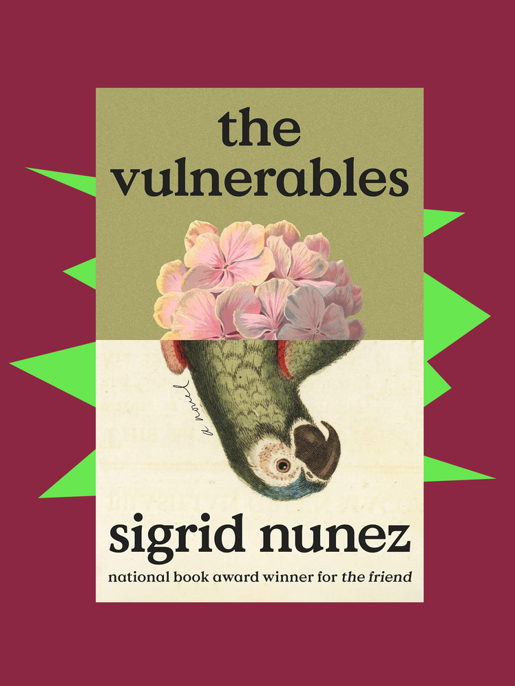 8 de nos auteurs préférés de 2023 recommandent des cadeaux aux lecteurs