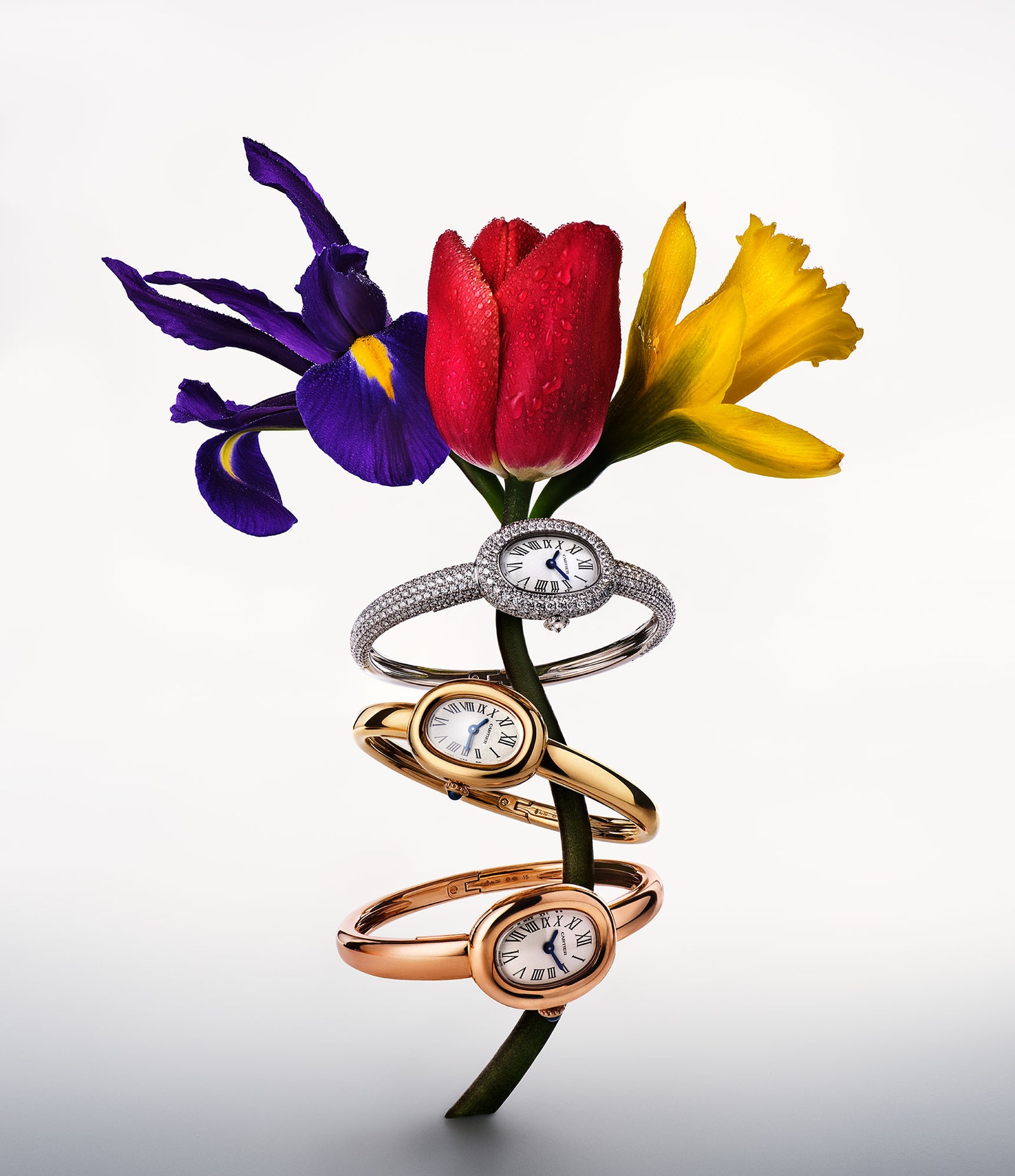 2023 en Photographies