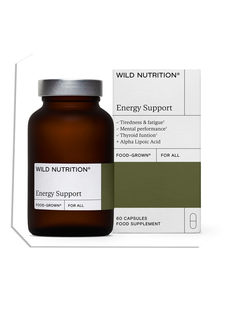 Comment Sophie Ashby organise une vie luxuriante et éclectique Comment Sophie Ashby organise une vie luxuriante et éclectique