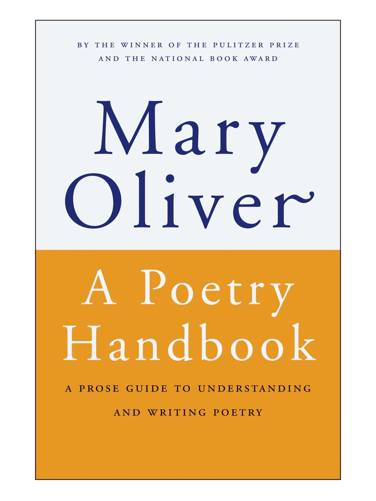 L’image peut contenir : livre, publication et roman