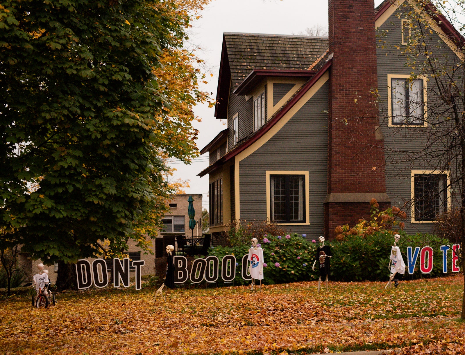 L'image contient peut-être Quartier Herbe Plante Ville Personne Arbre Architecture Bâtiment Extérieur Abris et vélo