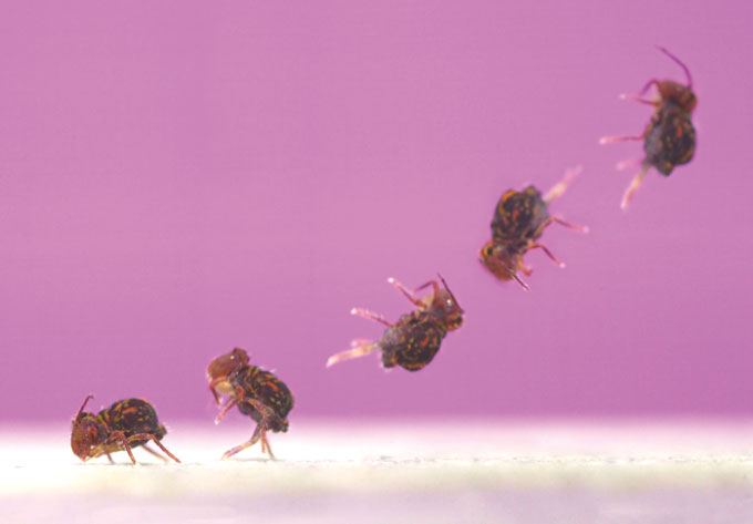 Les lecteurs s'interrogent sur les ordinateurs quantiques autocorrectifs et la valeur expérimentale d'Oobleck