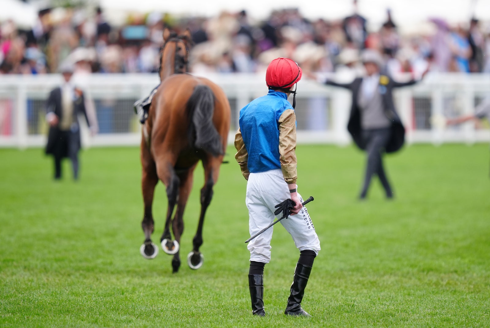 L'image peut contenir des vêtements Glove Field Casque Child Personne Personne Personnes ACCESSOIRES Sac à main Animal Adult Animal and Horse