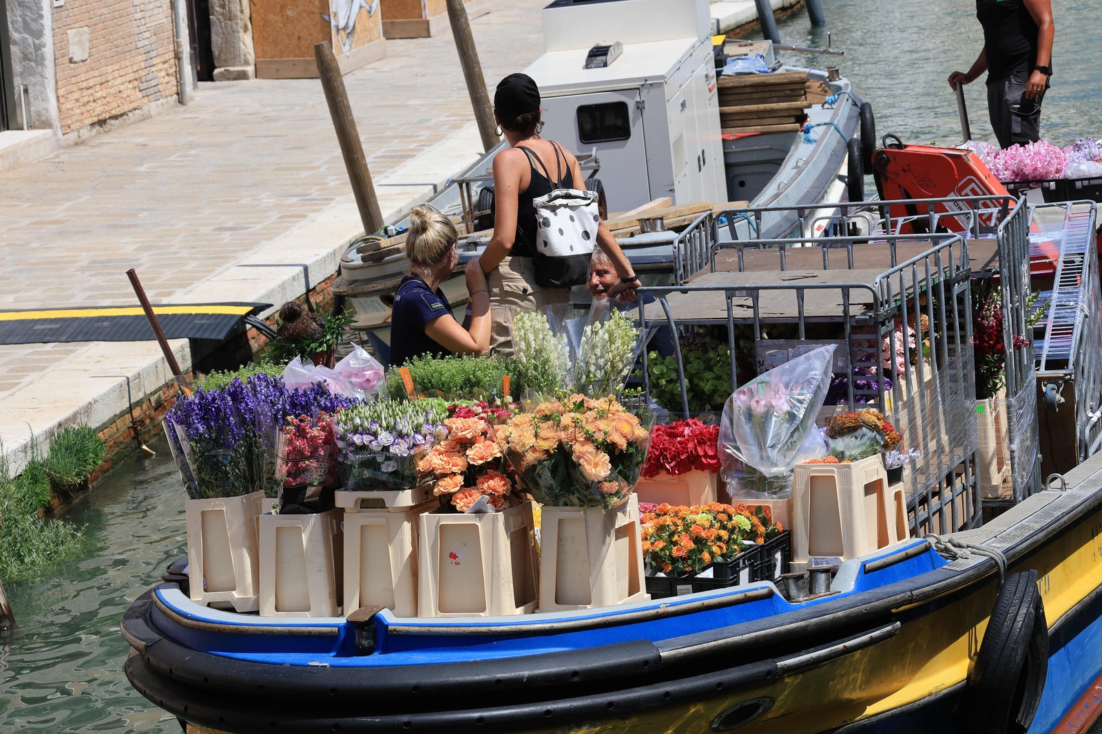 L'image peut contenir une plante en pot de la plante à fleurs arrangement de fleurs de fleurs bouquet de fleurs Personnes adultes accessoires et sac