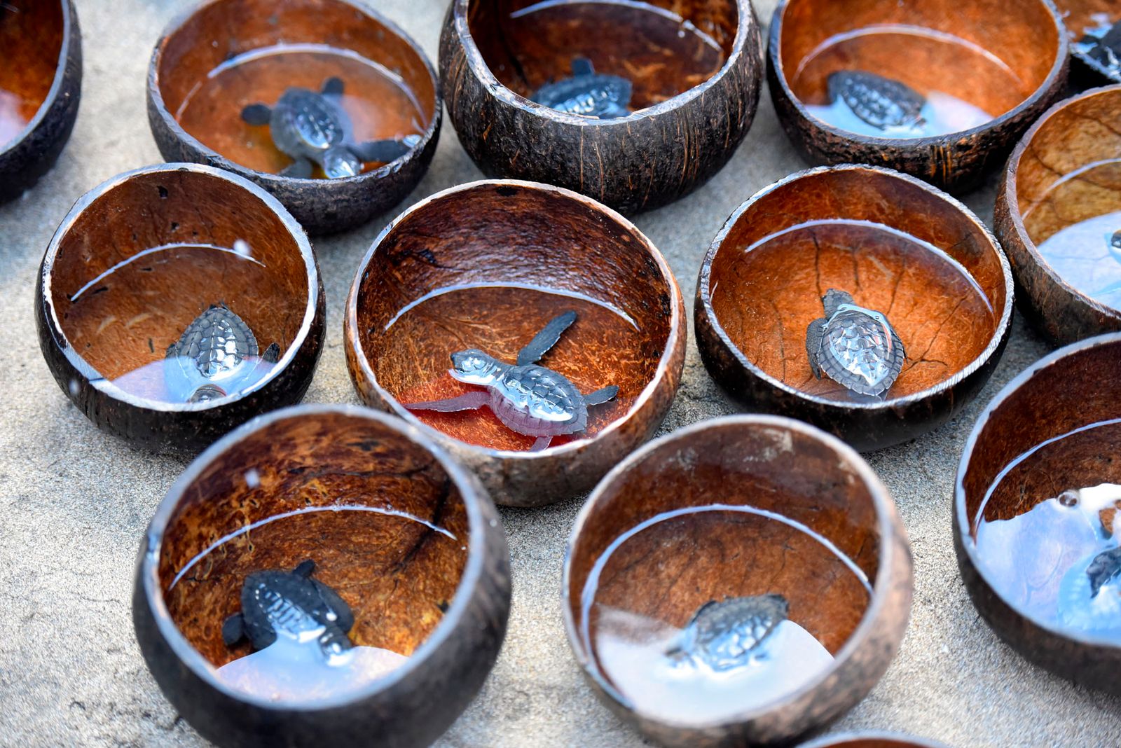 L'écloserie de tortue hôtels.