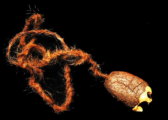 La pointe d’une ancienne dent d’animal dépasse d’un support en résine. L'élément est attaché à une chaîne.