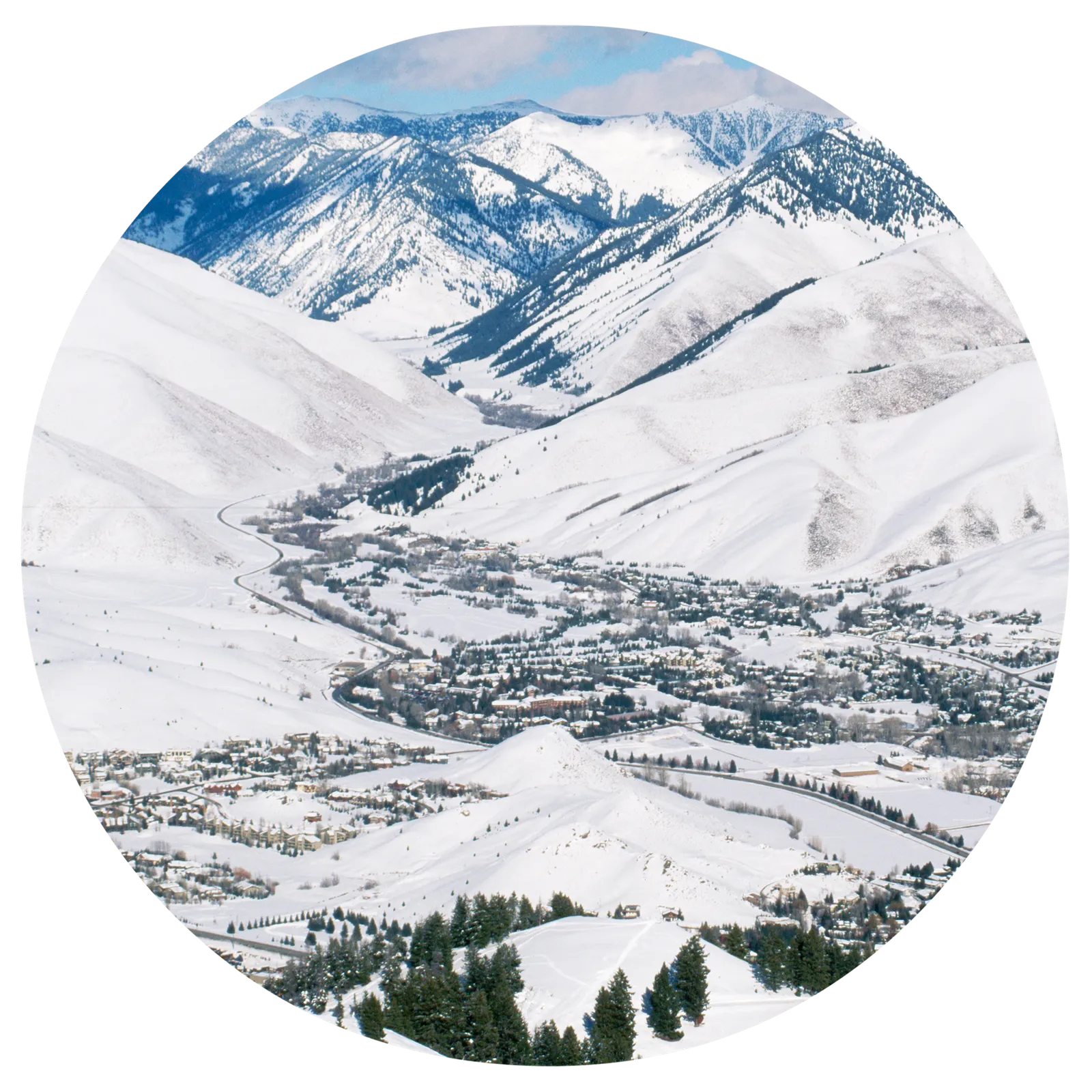 L'image contient peut-être une photographie en extérieur, sapin, plante, arbre, nature, pente, montagne, paysage de glace et glacier.