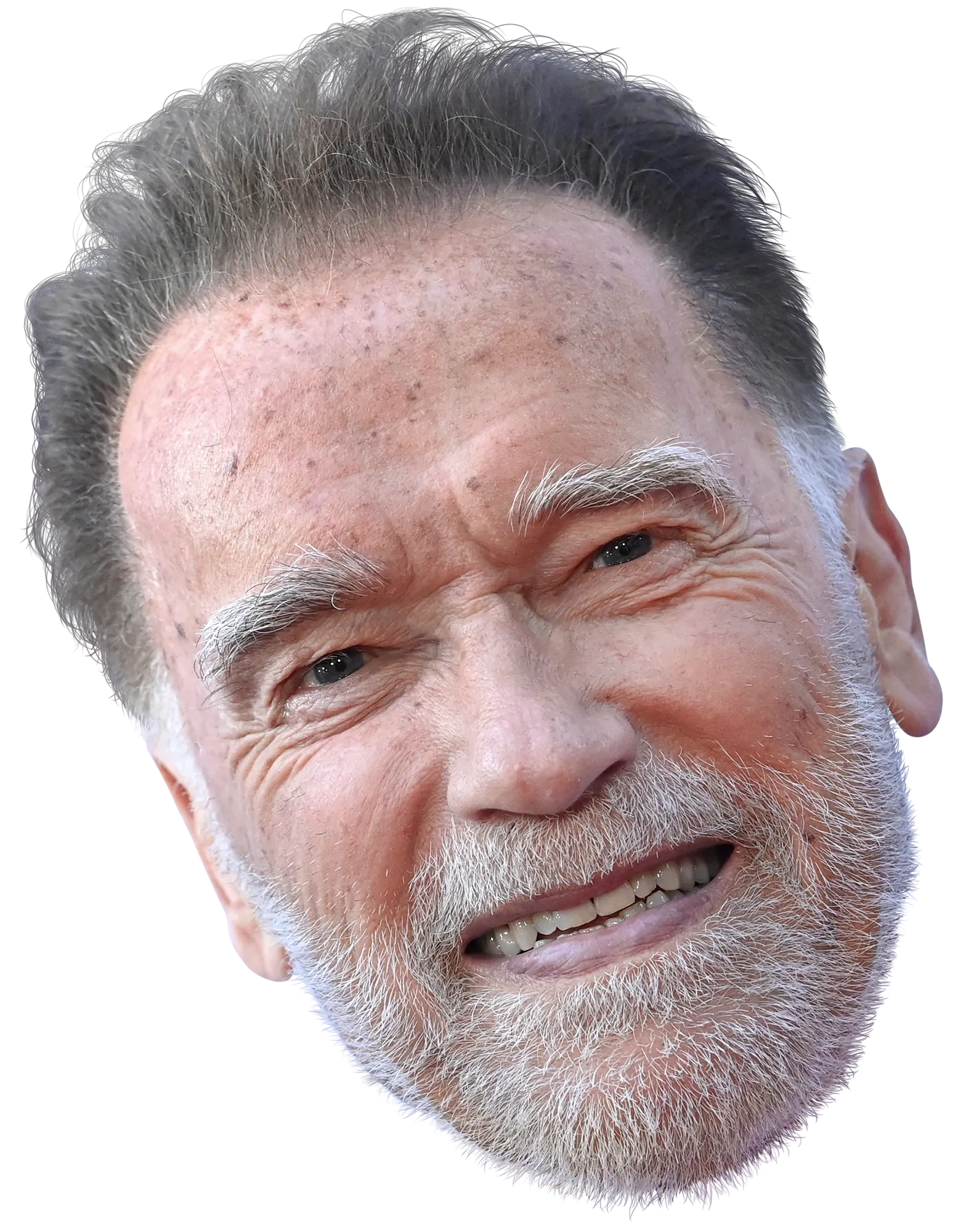 L'image peut contenir Arnold Schwarzenegger Tête Personne Visage Photographie Portrait Sourire heureux Barbe et adulte