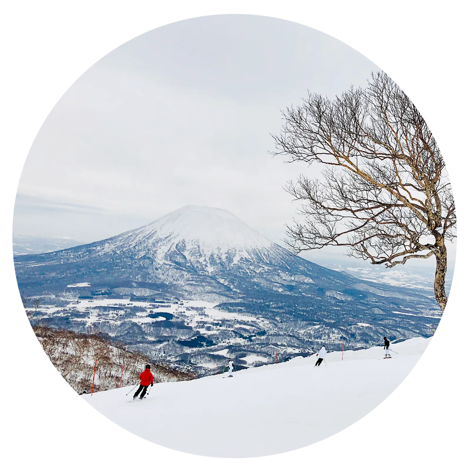 L'image contient peut-être Nature Plein air Personne Piste Neige Sport Pente Activités de loisirs et ski