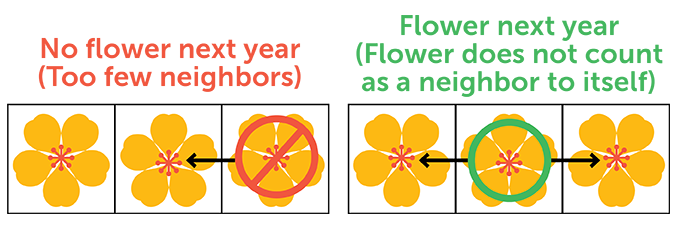 Puzzle mathématique : Fleurs de grille fraîches