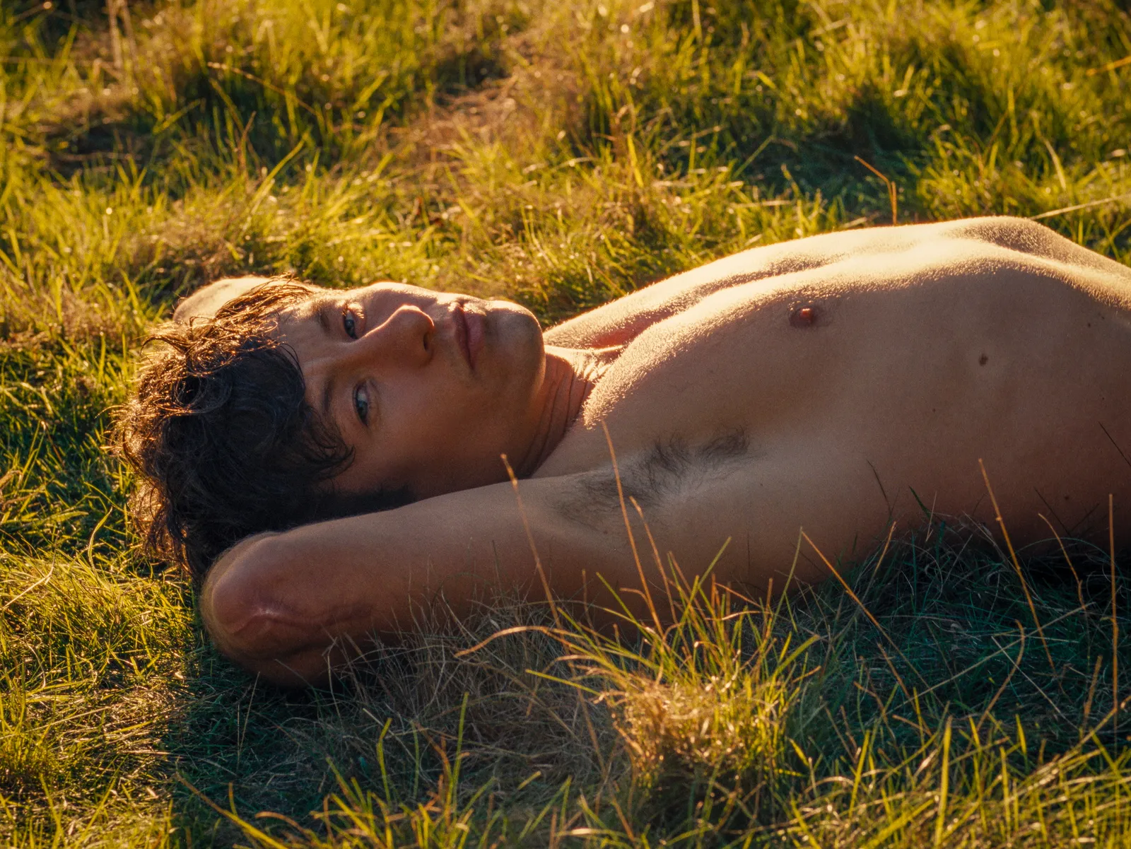 L'image peut contenir de l'herbe, une plante, un visage, une personne, une photographie et un portrait.