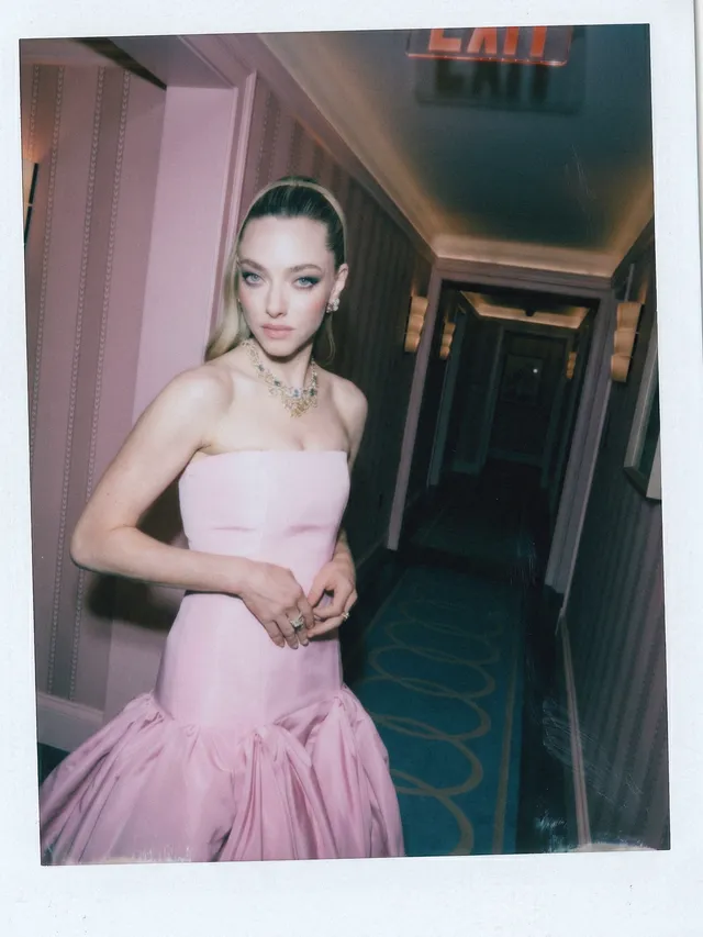 L'image peut contenir Amanda Seyfried Vêtements Robe Robe de soirée Tenue de soirée Robe de mode Adulte et personne