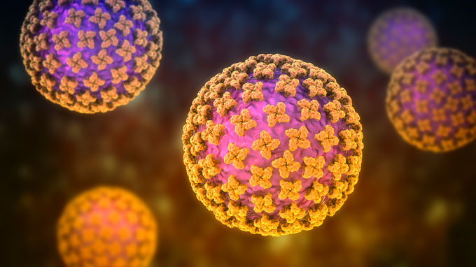 Image générée par ordinateur de boules rose pourpre recouvertes de structures orange ressemblant à des fleurs à quatre pétales. Ceci est une illustration des hantavirus.