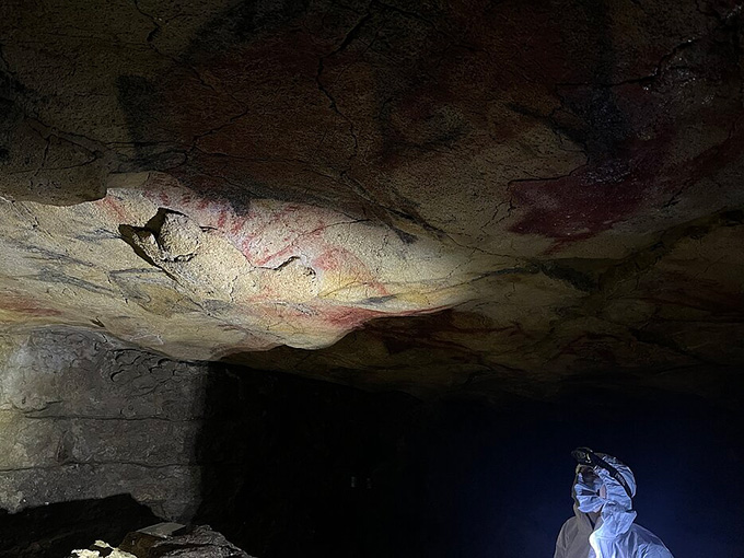Dans les grottes peintes, l’ADN humain ancien s’accroche aux murs Photo d'un chercheur en EPI regardant des peintures préhistoriques au plafond de la grotte.
