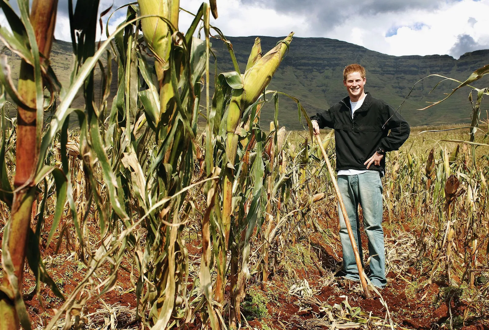 L'image peut contenir le prince Harry, duc de Sussex, sol, personne adulte, vêtements, pantalons, champ, nature, plein air et nourriture.