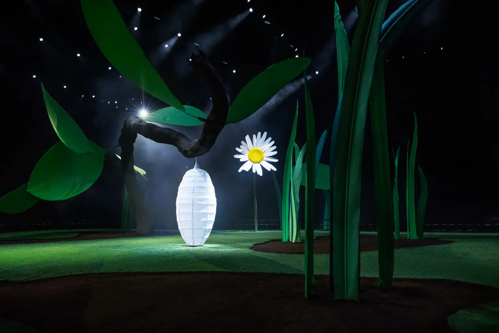 Kai Schreiber s'est senti "comme une licorne" dans le Buggy NYFW Show de Thom Browne L'image contient peut-être une marguerite, une fleur, une plante, une nature, une nuit, à l'extérieur, un adulte et une personne.