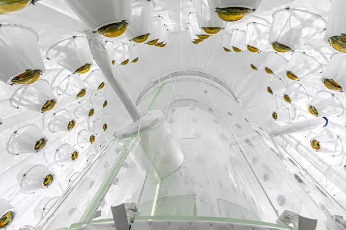 Les scientifiques ont-ils aperçu la première particule de matière noire ? L’intérieur du détecteur de particules LZ montre un grand réservoir translucide entouré de tubes photomultiplicateurs dorés.
