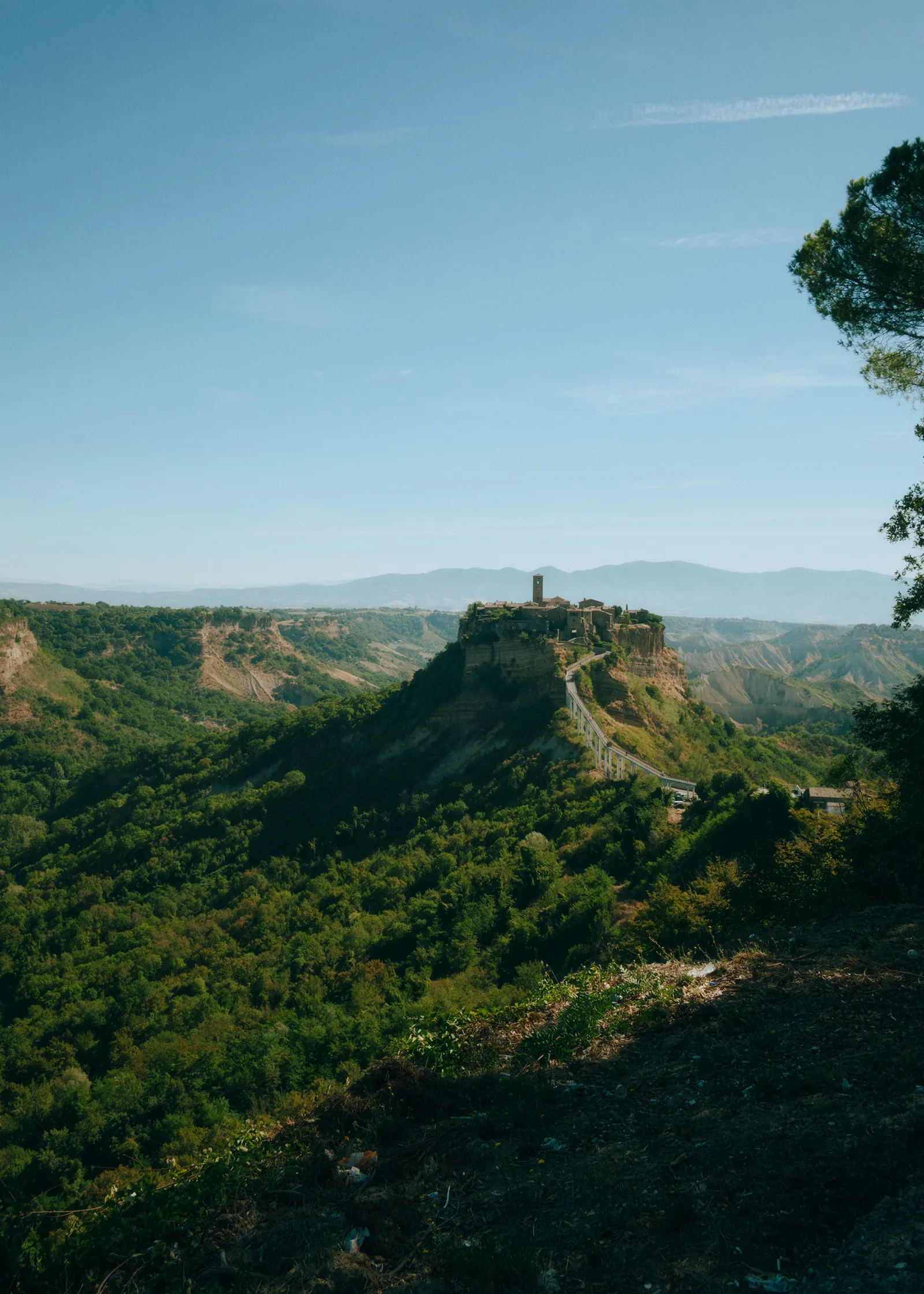 L'image peut contenir des plantes, des végétations, des terres, la nature, à l'extérieur, des arbres, des bois, des paysages sauvages, des paysages et des montagnes.