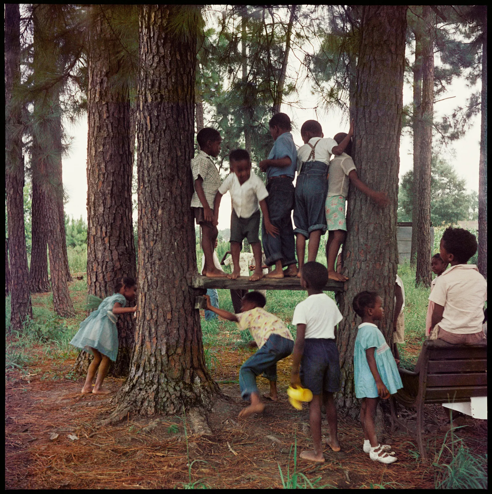 L'objectif est plus puissant : le meilleur de Gordon Parks L'image peut contenir des plantes, des arbres, des végétations, des bosquets, des terres, des natures, des vêtements en plein air, des vêtements, des shorts, des herbes, des parcs et des adultes.