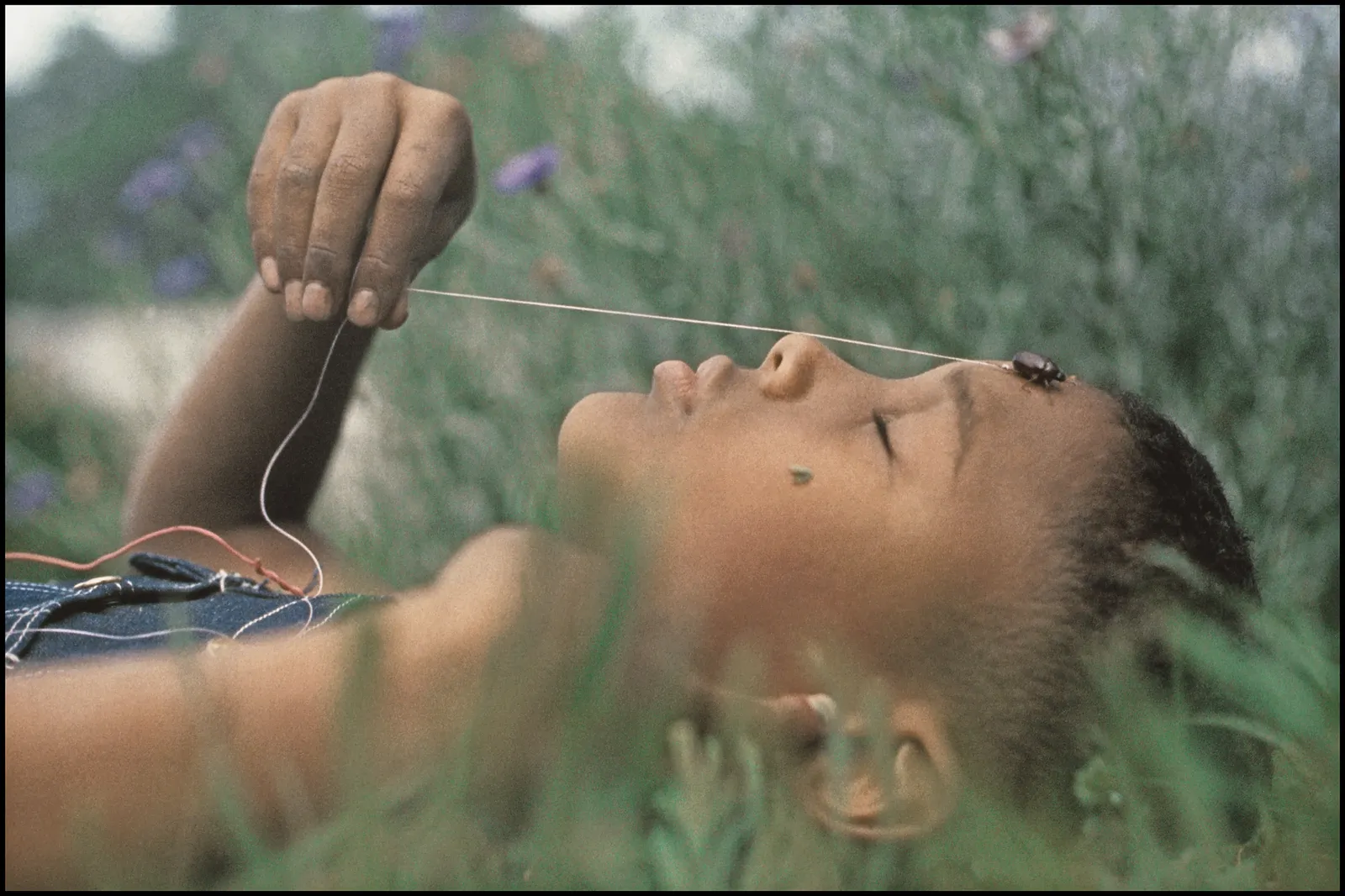 L'objectif est plus puissant : le meilleur de Gordon Parks L'image peut contenir une partie du corps doigt main personne bébé crachant de l'herbe plante et tête