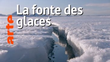 Arctique - Une odyssée sous les glaces | ARTE