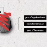 Phosphore : cette ressource essentielle à la vie pourrait disparaître