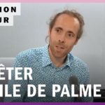 Huile de palme : pourquoi la consommation continue d’augmenter