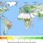 Planisphère reboisement planète