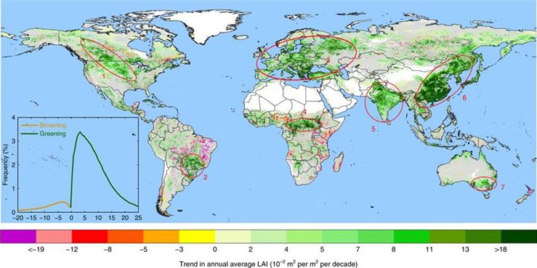 Planisphère reboisement planète