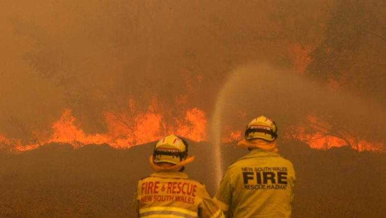 réchauffement climatique incendie australie écologie