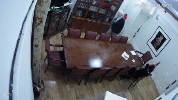 Juan Branco et Julian Assange espionnés par la CIA dans l'ambassade équatorienne