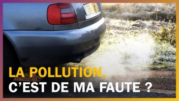 La pollution c'est de ma faute ? Philippe Bihouix