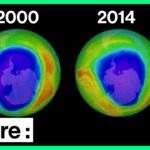 Couche d'ozone : Histoire d'une success-story environnementale