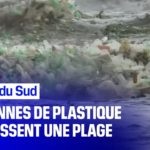 Afrique du Sud : des vagues de plastique s'échouent sur la plage
