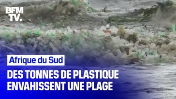 Afrique du Sud : des vagues de plastique s'échouent sur la plage