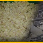 Des poussins morts de faim ou étouffés, l'association L214 publie une vidéo d'un élevage de canards