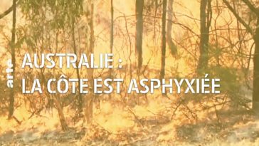 Incendies géants : une journée à Sydney revient à fumer 34 cigarettes à cause des fumées toxiques