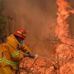 Les feux de brousse en Australie ont émis 250 millions de tonnes de CO2, soit près de la moitié des émissions annuelles du pays