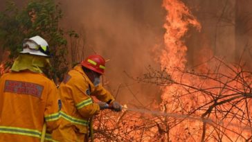 Les feux de brousse en Australie ont émis 250 millions de tonnes de CO2, soit près de la moitié des émissions annuelles du pays