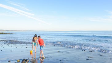 Les eaux au large des côtes californiennes s’acidifient deux fois plus vite que la moyenne mondiale