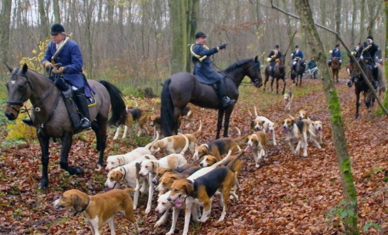 Quand une chasse à courre terrorise le village jusque devant l'école maternelle