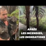 Après les incendies, des pluies torrentielles frappent l'Australie