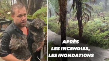 Après les incendies, des pluies torrentielles frappent l'Australie