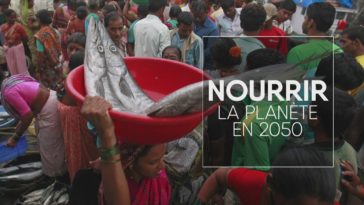 Matthieu Brun : "En 2050, il faudra augmenter la production alimentaire de 50%"