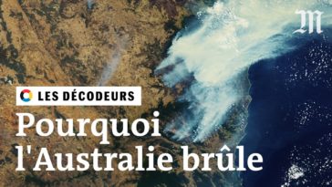 Incendies en Australie : le réchauffement climatique est-il en cause ?