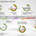 Pour 2030, l'ONU dresse un plan pour éviter la sixième extinction massive de la Terre