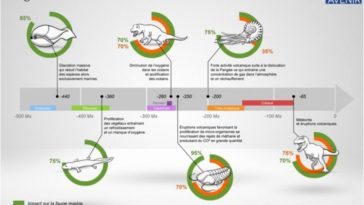 Pour 2030, l'ONU dresse un plan pour éviter la sixième extinction massive de la Terre