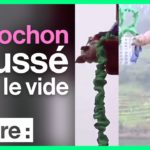 Chine : un cochon habillé d'une cape forcé à sauter à l'élastique